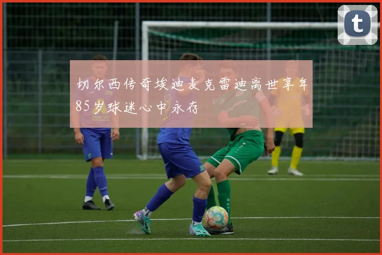 切尔西传奇埃迪麦克雷迪离世享年85岁球迷心中永存