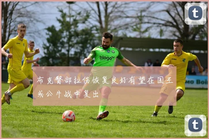 布克臀部拉伤恢复良好有望在国王或公牛战中复出
